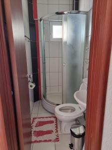 a small bathroom with a toilet and a shower at Villa Mesokastro in Ohrid
