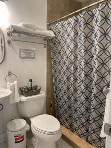 a bathroom with a toilet and a shower curtain at Blue Sky in Fort Myers