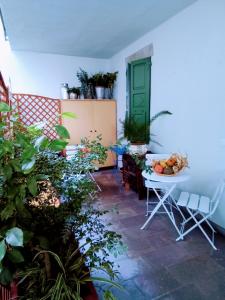 eine Terrasse mit Pflanzen, einem Tisch und einer grünen Tür in der Unterkunft Bike Civico 17 AFFITTA CAMERE in Venzone