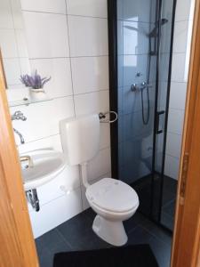 een badkamer met toilet, douche en wastafel bij Pansion restoran Marin in Posedarje