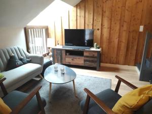 布里昂松Appartement vue montagne, cosy et chaleureux的带沙发和电视的客厅