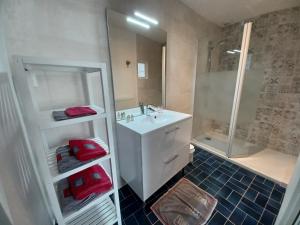 翁赞Rêve de Loire chambres d'hôtes au calme au pied des châteaux de la Loire的带白色水槽和淋浴的浴室