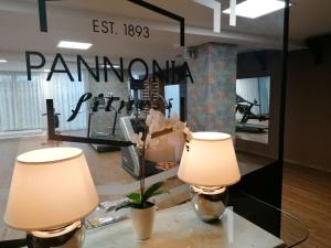 Gallery image of Pannonia Hotel in Sopron +30 photos