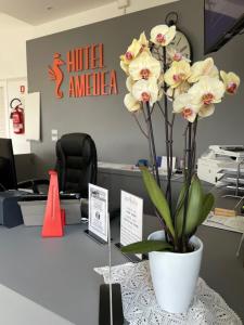 Fotografia z galérie ubytovania Hotel Amedea v destinácii Cervia