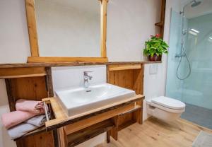 ein Bad mit einem Waschbecken und einem WC in der Unterkunft Peerfect Ferienwohnungen in Navis