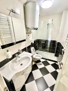ein Bad mit einem Waschbecken und einem WC in der Unterkunft Apartments Family in Tivat