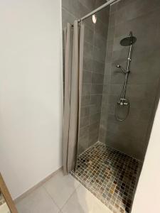 y baño con ducha y cortina de ducha. en KAZANTILLAISE STE LUCE T3 en Sainte-Luce