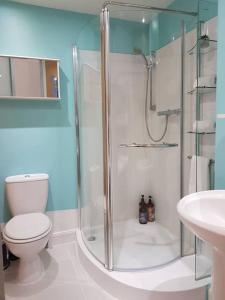 a bathroom with a shower and a toilet and a sink at Morrison's Haven in Edinburgh