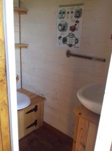 ein kleines Bad mit einem Waschbecken und einem WC in der Unterkunft Roulotte La Marmotte in Poinson-lès-Fays