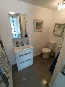 a bathroom with a sink and a toilet and a mirror at Beautiful 1-Bed Riversi Cottage Located in Malpas in Truro