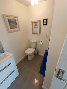 a bathroom with a white toilet and a sink at 1 Bed Cottage - Sleeps 2 - Parking - Wifi in Truro