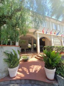 a building with two potted plants in front of it at Residence La Meridiana in San Bartolomeo al Mare