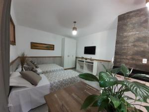 a bedroom with a bed and a flat screen tv at Pousada Mapuche in São José