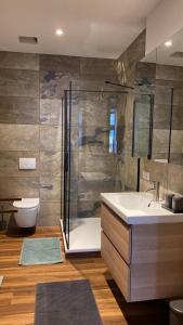 ein Bad mit einer Dusche, einem Waschbecken und einem WC in der Unterkunft Hotel Alt-Erfurt in Erfurt
