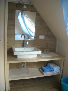 een badkamer met een wastafel en een spiegel bij Ferienhof Biber in Witzmannsberg