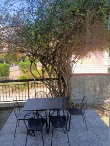 una mesa negra y sillas frente a un árbol en Residence La Meridiana, en San Bartolomeo al Mare