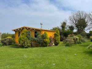 a small yellow house in the middle of a yard at Coutts Glamping in Wadebridge
