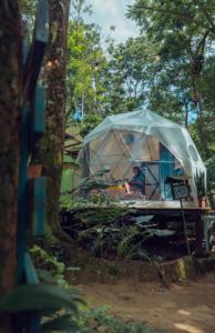 a tent that is under a tree at Faith Glamping Dome Costa Rica in Manzanillo