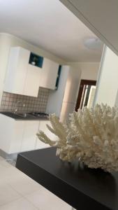 une plante blanche assise au-dessus d'un comptoir de cuisine dans l'établissement IL DIAMANTE, appartamento elegante vicino al mare!, à Terracine