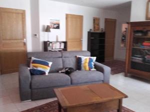un gato tirado en un sofá en una sala de estar en LE CALME AU COEUR DE LA VILLE, en Nimes