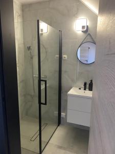 een badkamer met een douche en een wastafel bij Zatoka Stegna in Stegna