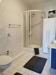 a bathroom with a shower and a toilet and a sink at Entspannt Wohnen - vor den Toren Lübecks in Stockelsdorf