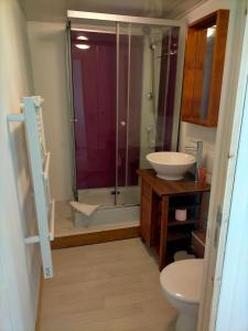 a bathroom with a shower and a toilet and a sink at studio ''tulipe'' dans le Berry in Les Bordes