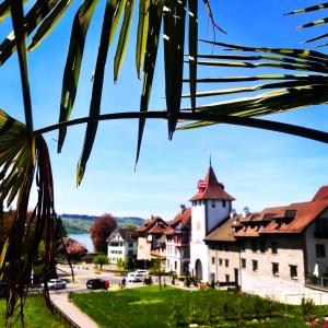 Blick auf die Stadt von einer Palme in der Unterkunft Ferien-Sempachersee Sandra Sens in Sempach