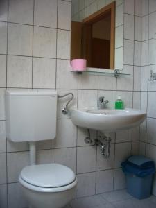 a bathroom with a toilet and a sink and a mirror at Apartments Maja in Bled