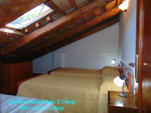 sypialnia z łóżkiem w pokoju z oknem w obiekcie Corte dei Sisanda1 w mieście Galzignano Terme