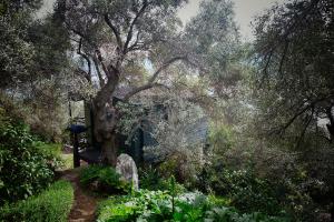 un árbol en medio de un jardín con flores en Magical Treehouse Cabin by the sea with amazing views, en Koukouleika