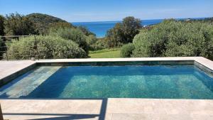 uma piscina com vista para o oceano em U San Daniellu villas et chambres em Farinole