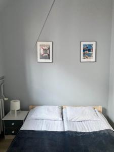 Posteľ alebo postele v izbe v ubytovaní Hostel Universus