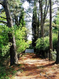 Fotografie z fotogalerie ubytování Costa Brava Home & Garden v destinaci Llagostera