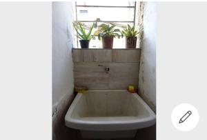 a bath tub in a bathroom with potted plants on a window at Casa amora olinda in Olinda