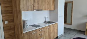 eine Küche mit einer Spüle und einer Theke in der Unterkunft Aparthotel Apartamenty Czarna Góra 234 in Heudorf