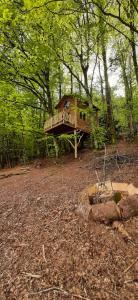 uma casa sentada no meio de uma floresta em Cabane du Druide Domaine de Fangorn em Glux