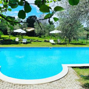 a large blue swimming pool with chairs and umbrellas at Maremma Nel Tufo in Pitigliano