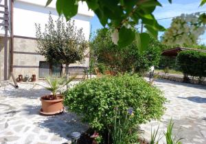 a garden with some plants and trees and a building at Villa Kalina in Lozenets