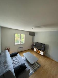 sala de estar con sofá y TV de pantalla plana en APPARTEMENT LE DOMAINE DES LIBELLULES PROCHE WALIBI en Corbelin