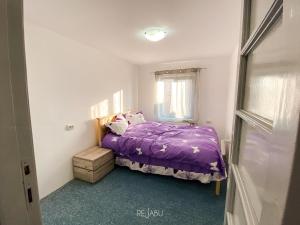 a bedroom with a purple bed and a window at Cabana Rejabu in Tauţ