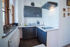 a kitchen with blue cabinets and a sink at Apartament Paryski in Karpacz