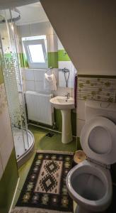 een kleine badkamer met een toilet en een wastafel bij Pensiunea Poienita Ursului in Fundata