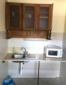 eine Küche mit einer Spüle und einer Mikrowelle auf der Theke in der Unterkunft Convoy Panzió in Szajol