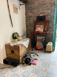 einem Hund, der auf dem Boden in einem Zimmer mit einem Tisch liegt in der Unterkunft Kaya Apart & Pansiyon in Bodrum City