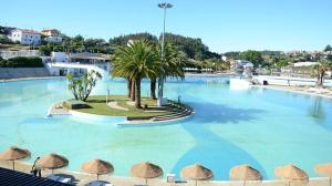 a large swimming pool with palm trees and umbrellas at Casa Catraia Gondramaz no Pulmão da Serra da Lousã in Gondramaz