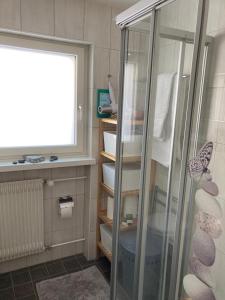 uma casa de banho com uma cabina de duche em vidro e uma janela em Haus VALLESIA em Saas-Fee