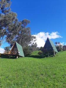 2 tentes sur une colline herbeuse dans un champ dans l'établissement ANIMALS GALMPING, à Guasca