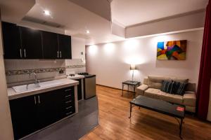 Kuchyň nebo kuchyňský kout v ubytování El Polo Apart Hotel & Suites
