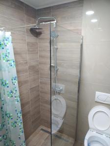 Et badeværelse på Apartman "N" Srebrno jezero